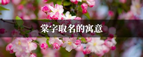 棠字取名|棠字取名的寓意